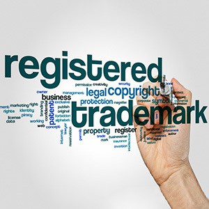 Business trademark best sale registration